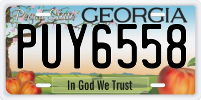 GA license plate PUY6558