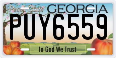 GA license plate PUY6559