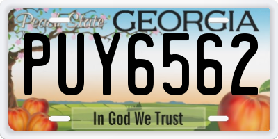 GA license plate PUY6562