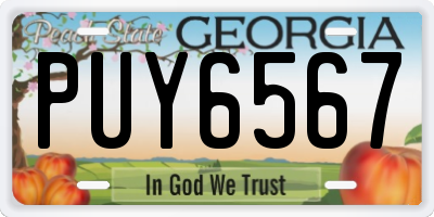 GA license plate PUY6567