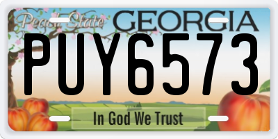 GA license plate PUY6573