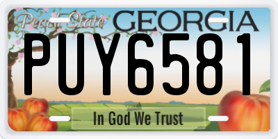 GA license plate PUY6581