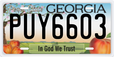 GA license plate PUY6603