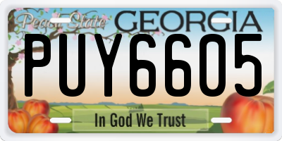GA license plate PUY6605