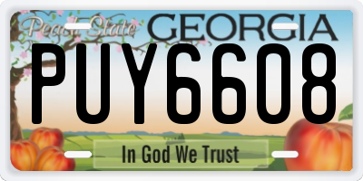 GA license plate PUY6608