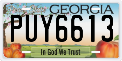 GA license plate PUY6613