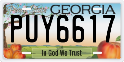 GA license plate PUY6617