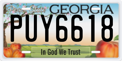 GA license plate PUY6618