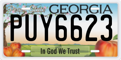 GA license plate PUY6623