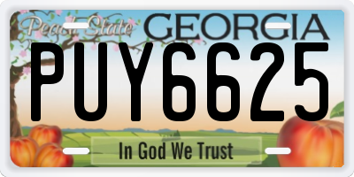 GA license plate PUY6625