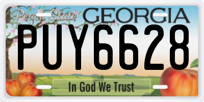 GA license plate PUY6628