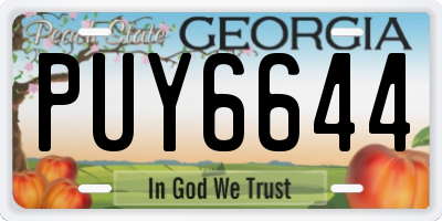 GA license plate PUY6644