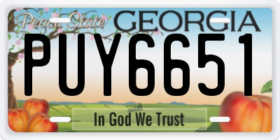 GA license plate PUY6651