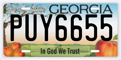 GA license plate PUY6655