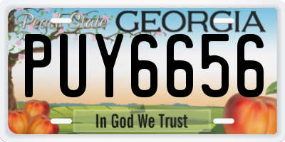 GA license plate PUY6656