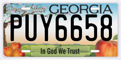 GA license plate PUY6658