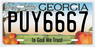 GA license plate PUY6667