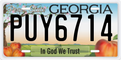 GA license plate PUY6714