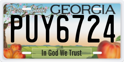GA license plate PUY6724