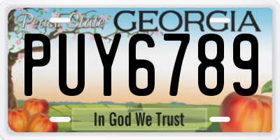 GA license plate PUY6789