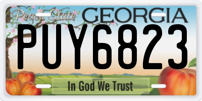 GA license plate PUY6823