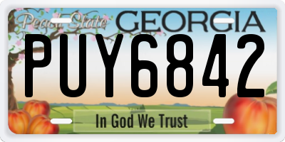 GA license plate PUY6842