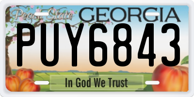 GA license plate PUY6843