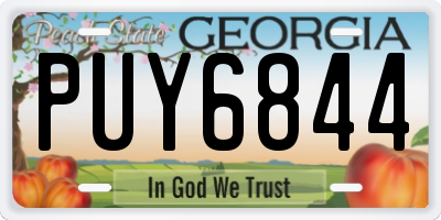 GA license plate PUY6844