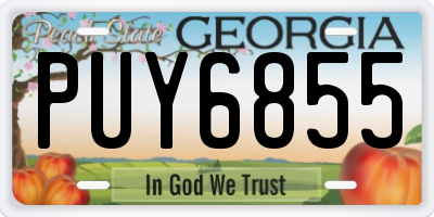 GA license plate PUY6855
