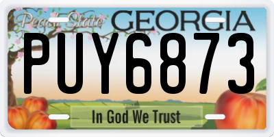 GA license plate PUY6873