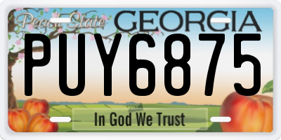 GA license plate PUY6875