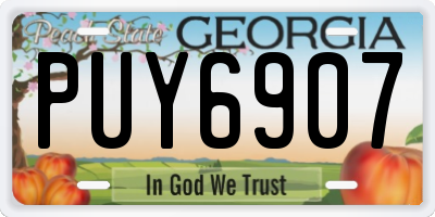 GA license plate PUY6907