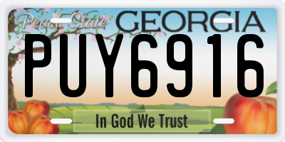 GA license plate PUY6916