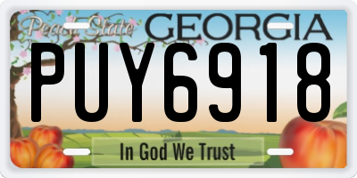 GA license plate PUY6918