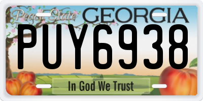 GA license plate PUY6938