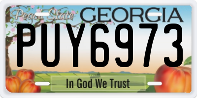 GA license plate PUY6973