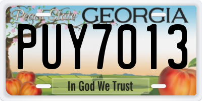 GA license plate PUY7013