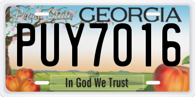 GA license plate PUY7016