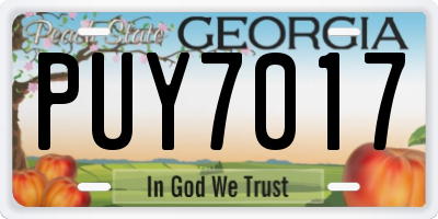 GA license plate PUY7017