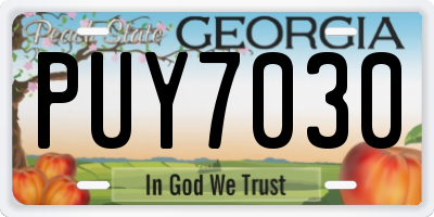 GA license plate PUY7030