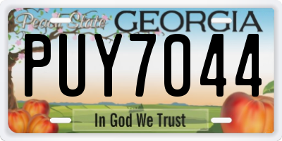 GA license plate PUY7044