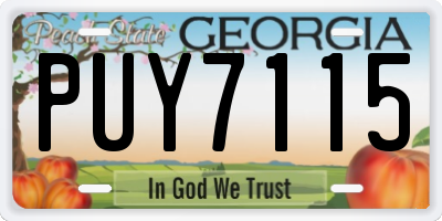 GA license plate PUY7115