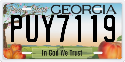 GA license plate PUY7119