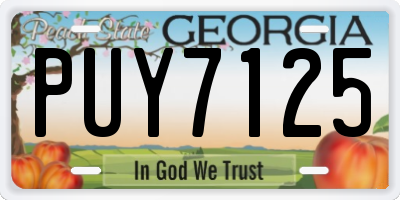 GA license plate PUY7125