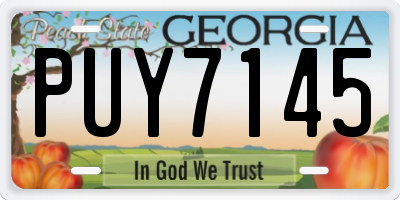 GA license plate PUY7145
