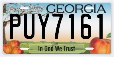 GA license plate PUY7161