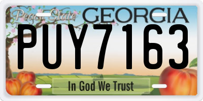 GA license plate PUY7163