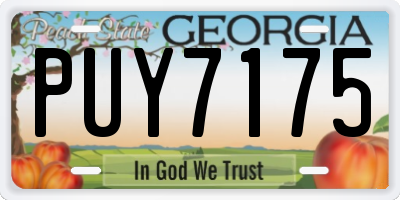GA license plate PUY7175