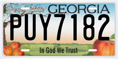 GA license plate PUY7182
