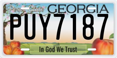 GA license plate PUY7187
